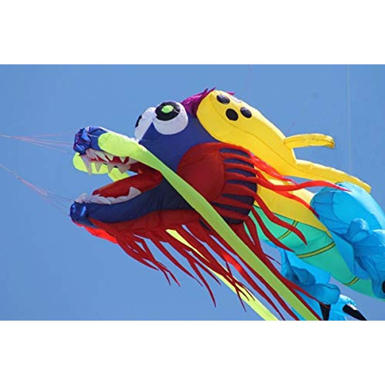FEN Großer Nylon 3D Drachen Chinese Dragon Software Show Kite