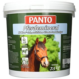 Panto Pferdemineral 1er Pack