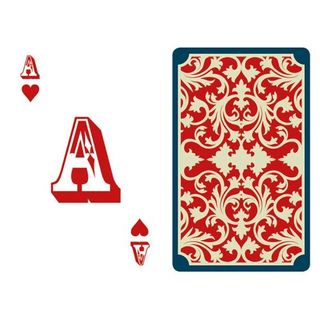 moses Die magische Welt der Kartentricks