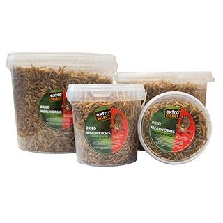Extra Select Niger Seed Wild Vogelfutter