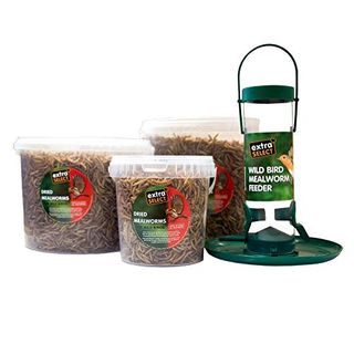 Extra Select Niger Seed Wild Vogelfutter
