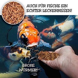 EWL Naturprodukte Mehlwürmer getrocknet 160g Insektensnack