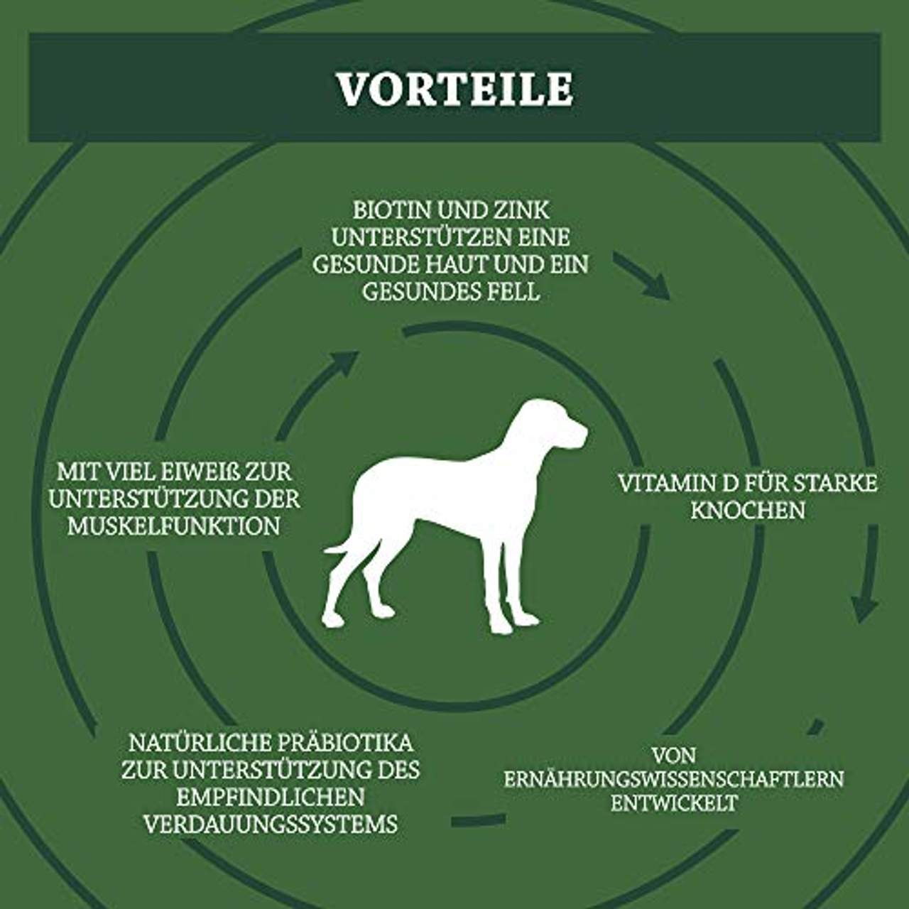 Amazon-Marke: Solimo Komplett-Trockenfutter für ausgewachsene Hunde