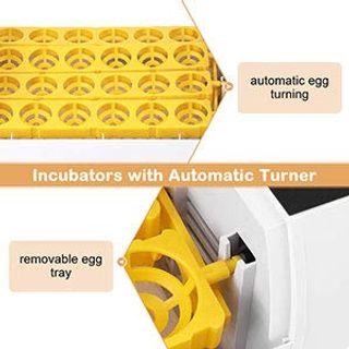 Inkubatoren Vollautomatische 48 Eier Intelligentes Brutmaschine