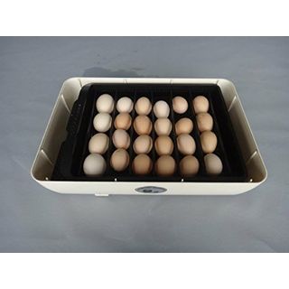 ZJchao TM 24 Eier Hühner Inkubator 