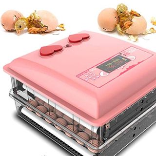 WISKEO Süß Inkubator Eier Automatisch Drehen