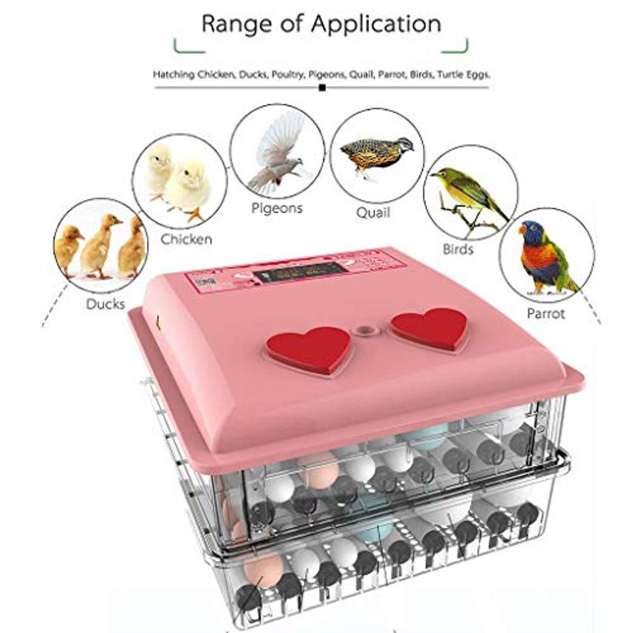 WISKEO Süß Inkubator Eier Automatisch Drehen