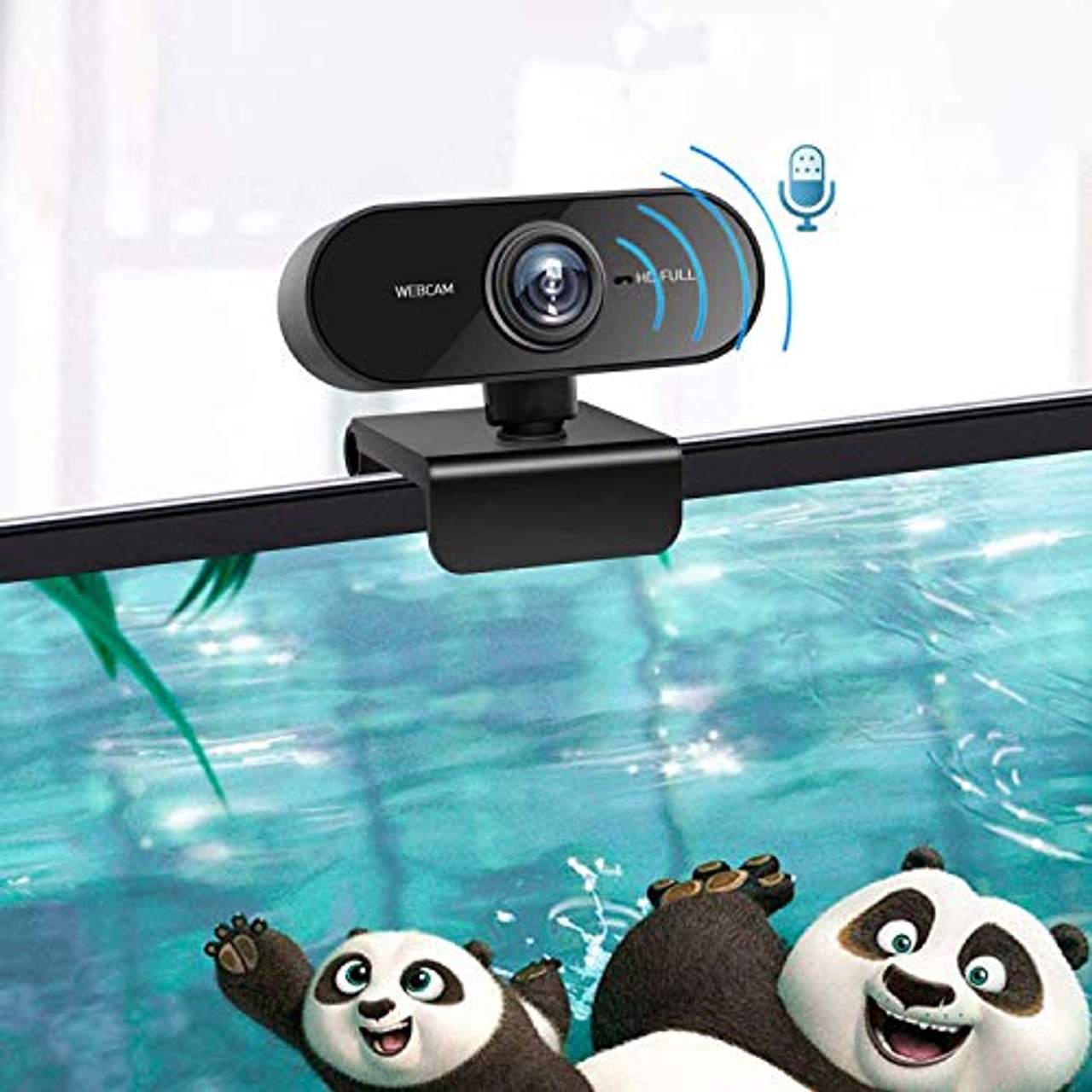 BENEWY Webcam mit Mikrofon für PC