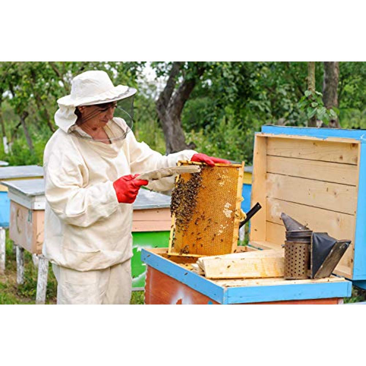 ImkerPur Blütenpollen Bienenpollen in Premium-Imkerqualität
