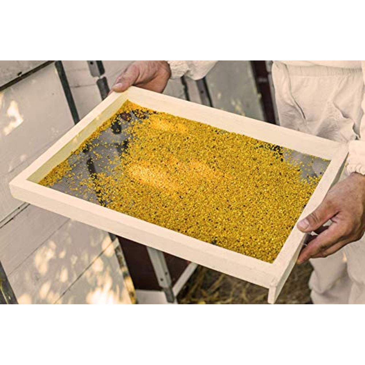 ImkerPur BIO-Blütenpollen Bienenpollen von nectarvit I roh & unverarbeitet I 500 g I min