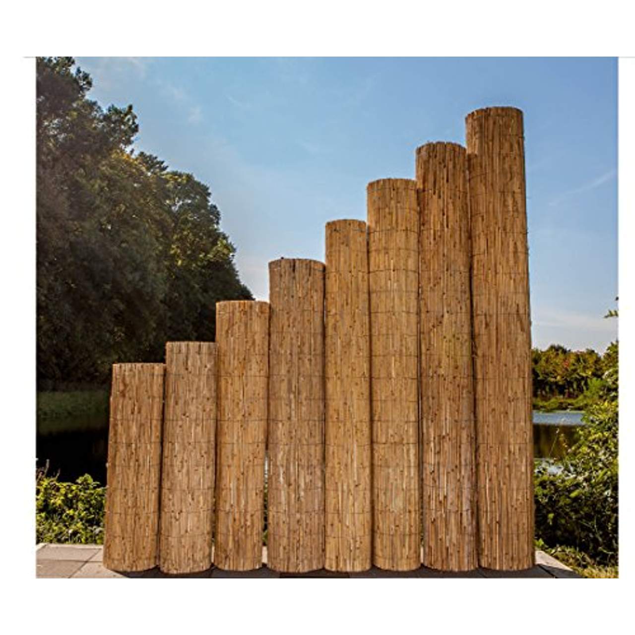 bambus-discount.com Schilfrohrmatten Premium für Balkon