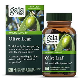 Gaia Herbs Olivenblatt