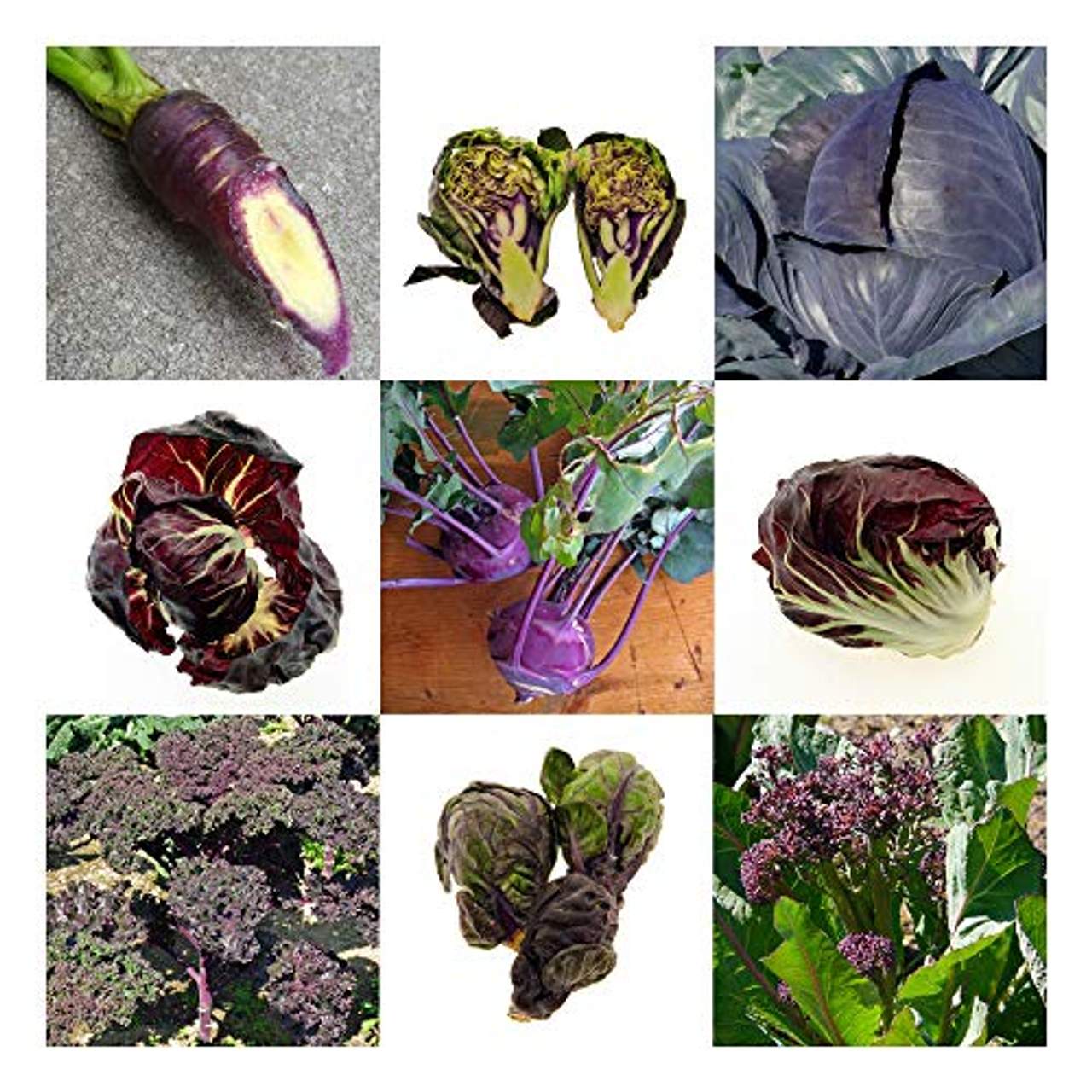 Violettes Gemüse