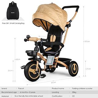 2 in 1 Fascol Baby Dreirad mit Lenkbarer Kinderdreirad Belastbarkeit  bis 30 kg 
