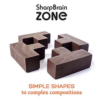 3D Denksport-Puzzle aus Holz von Sharp Brain Zone Erzieherisches Spielzeug für 