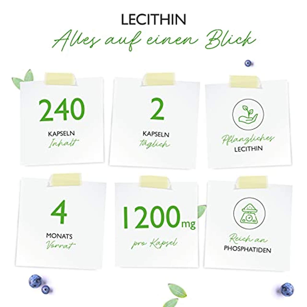 Vit4ever Lecithin 1.200 mg