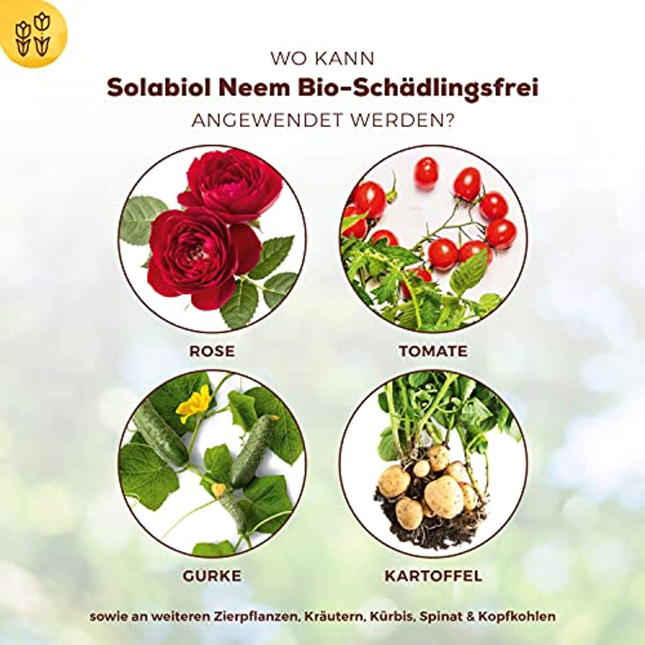 Solabiol Neem Bio-Schädlingsfrei biologische Schädlingsbekämpfung an Zierpflanzen