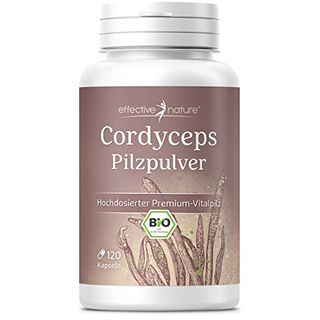 effective nature Hochdosiertes Cordyceps-sinensis Pilz Pulver