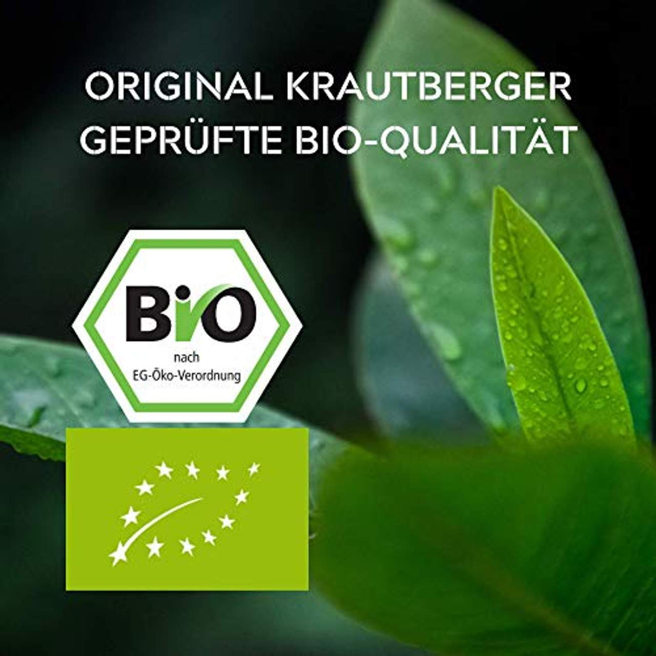 Kb KRAUTBERGER BIO Erbsenprotein 500g