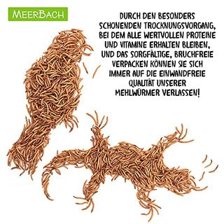 MeerBach Animal Mehlwürmer getrocknet