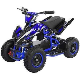 Actionbikes Motors Kinder Elektro Miniquad ATV Racer 800 Watt 36 Volt