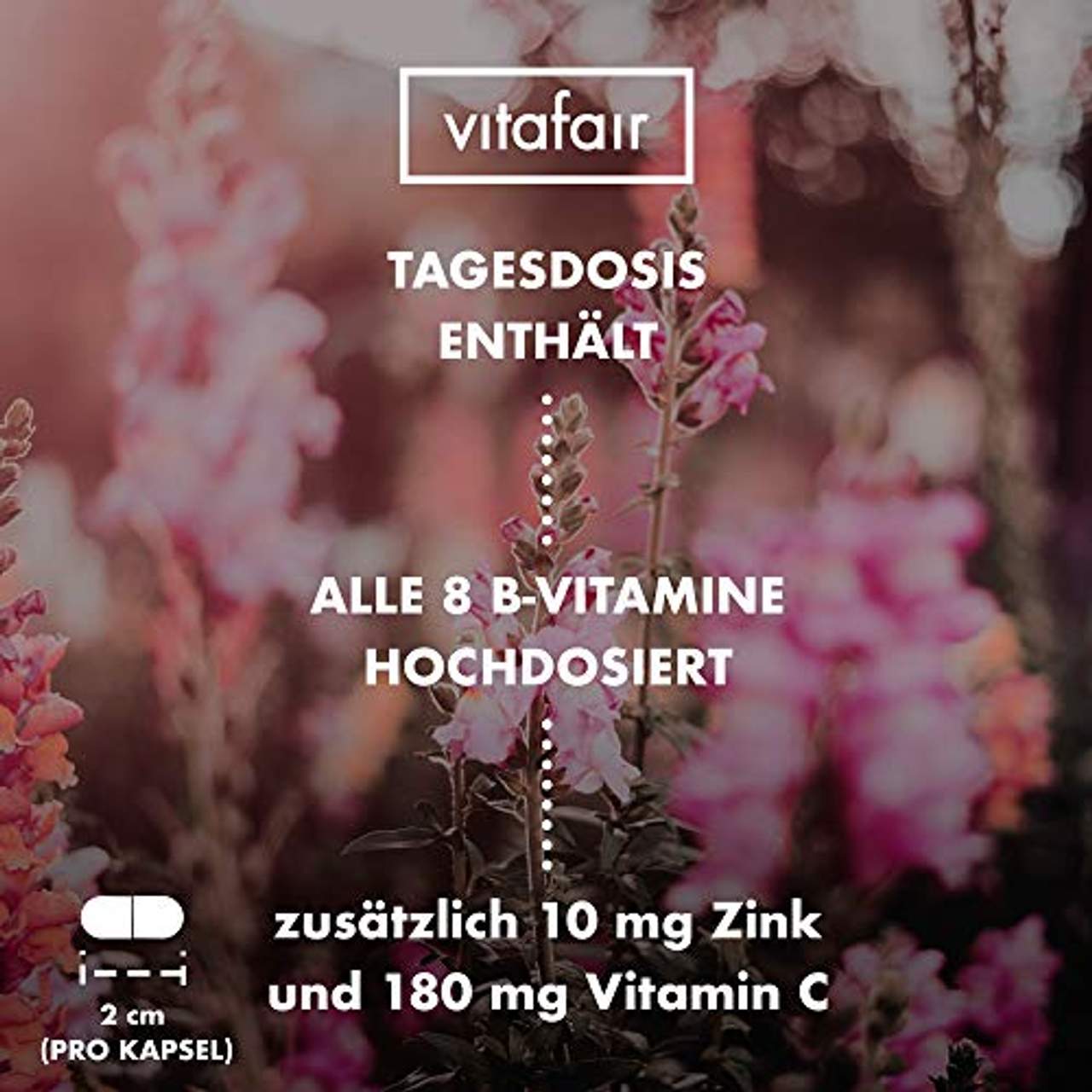 VITAFAIR Vitamin B Komplex