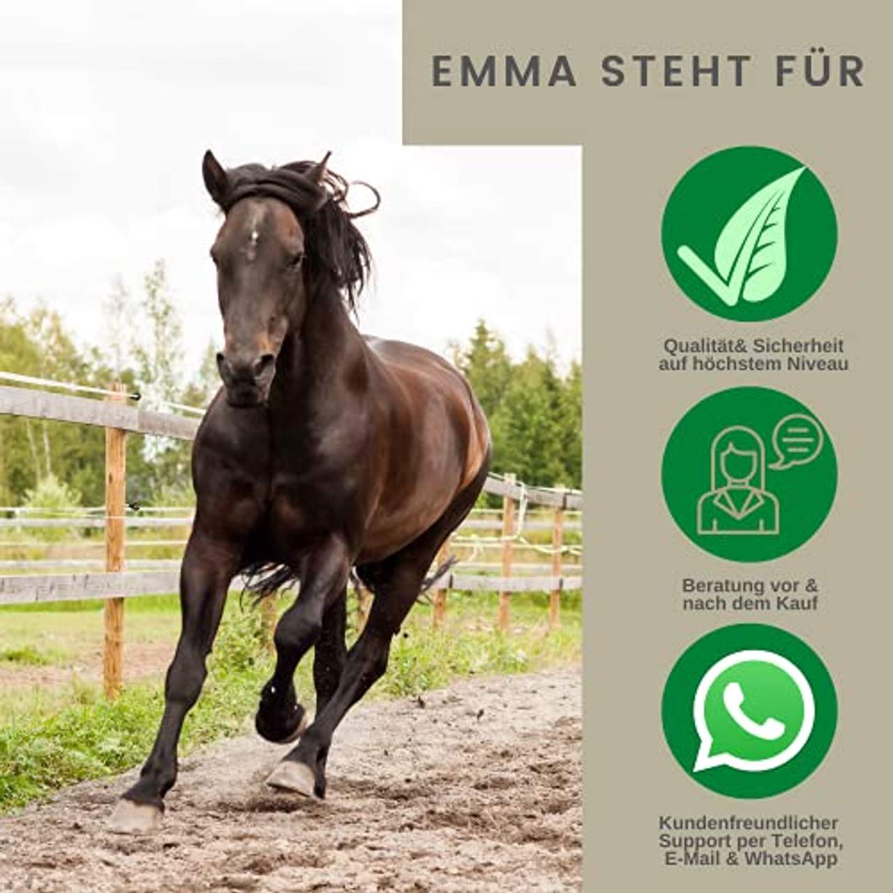 EMMA Huföl Pferd mit Pinsel I Huffett Pony I Hufpflege I Hufgel für Hornwachstum I Huffestiger