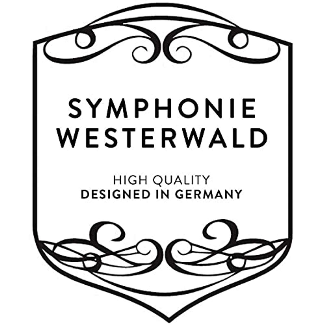 SYMPHONIE WESTERWALD Waldhorn Doppelhorn/French Horn in Bb