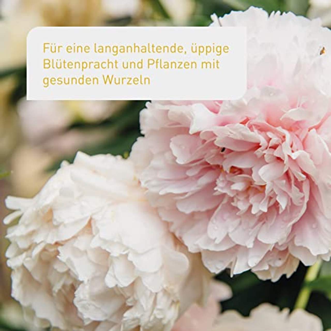 Plantura Bio Blumendünger mit 3 Monaten Langzeitwirkung