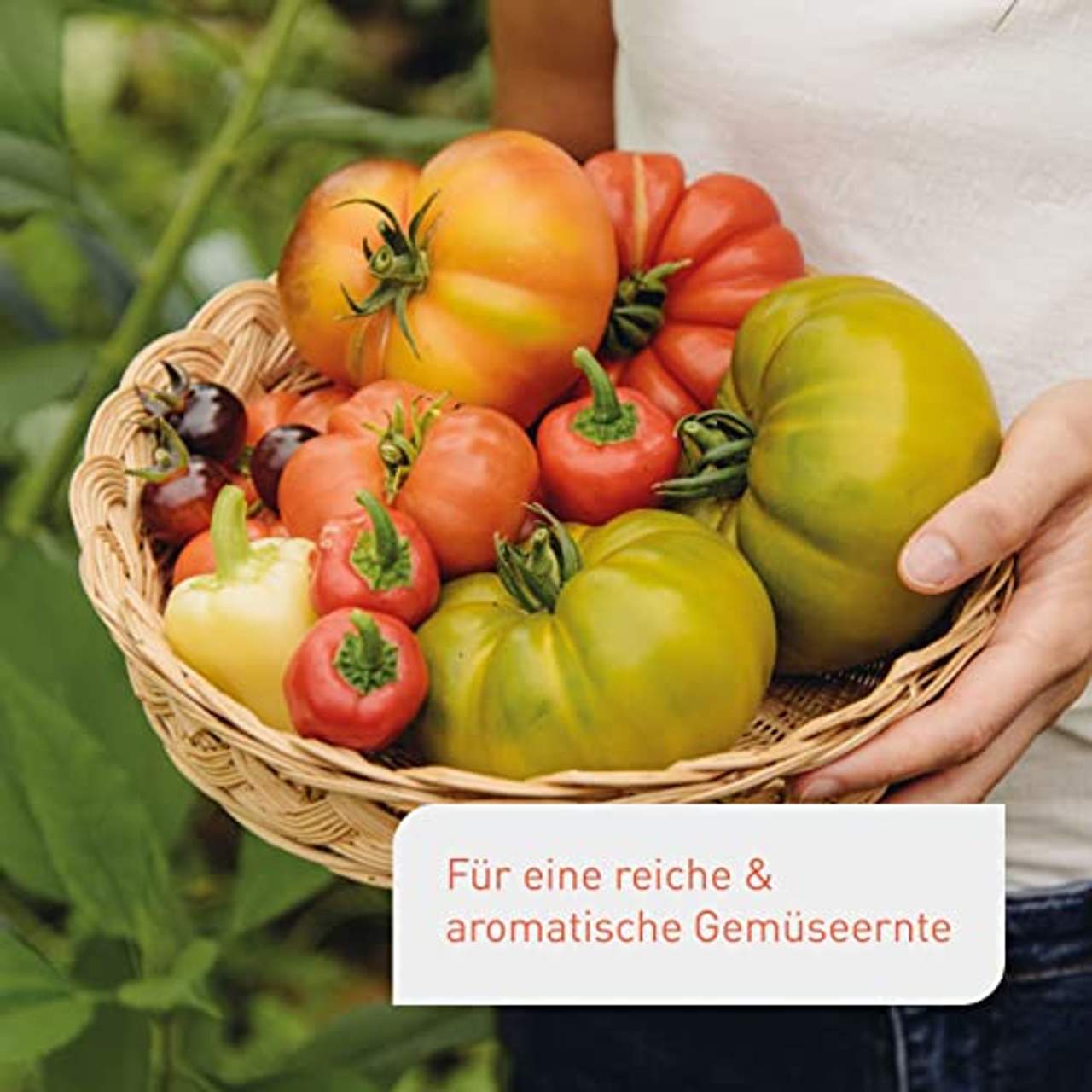 Plantura Bio Tomatendünger mit 3 Monaten Langzeit-Wirkung