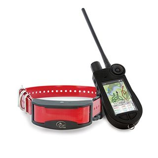 SportDOG TEK 2 GPS Ortungssystem