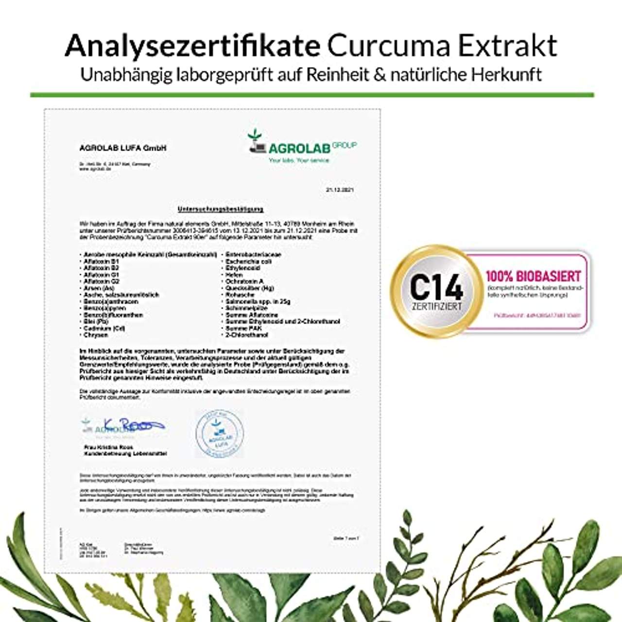 natural elements Curcuma Extrakt Kapseln
