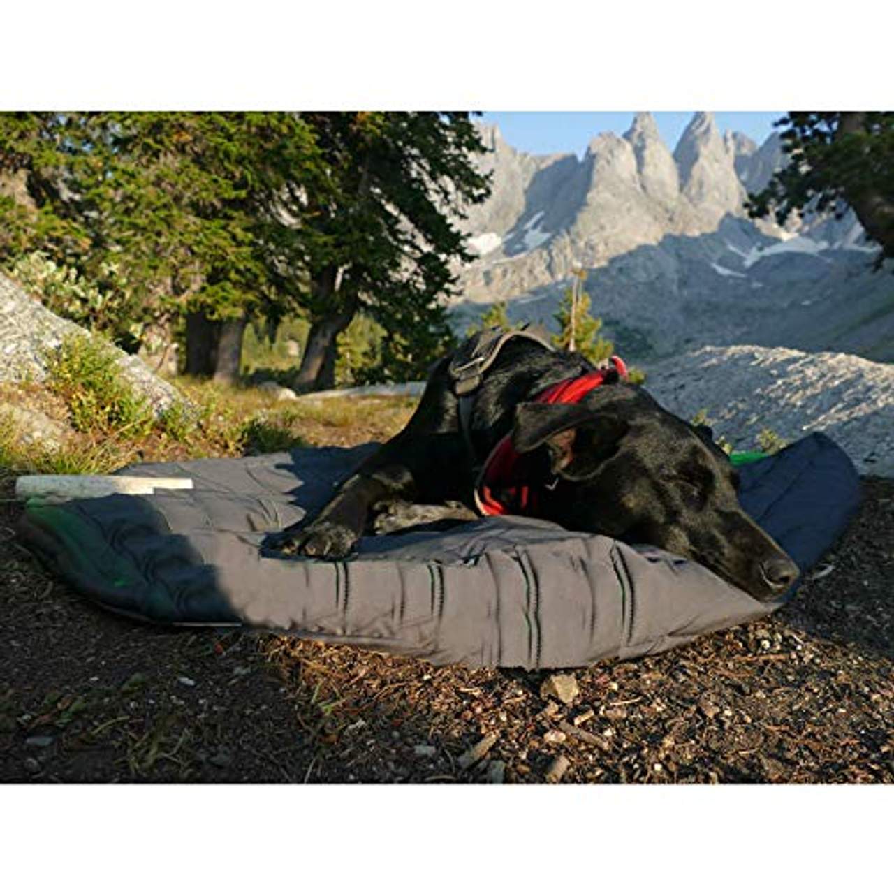Comforter S die erste Mobile beheizbare Hundedecke per Powerbank