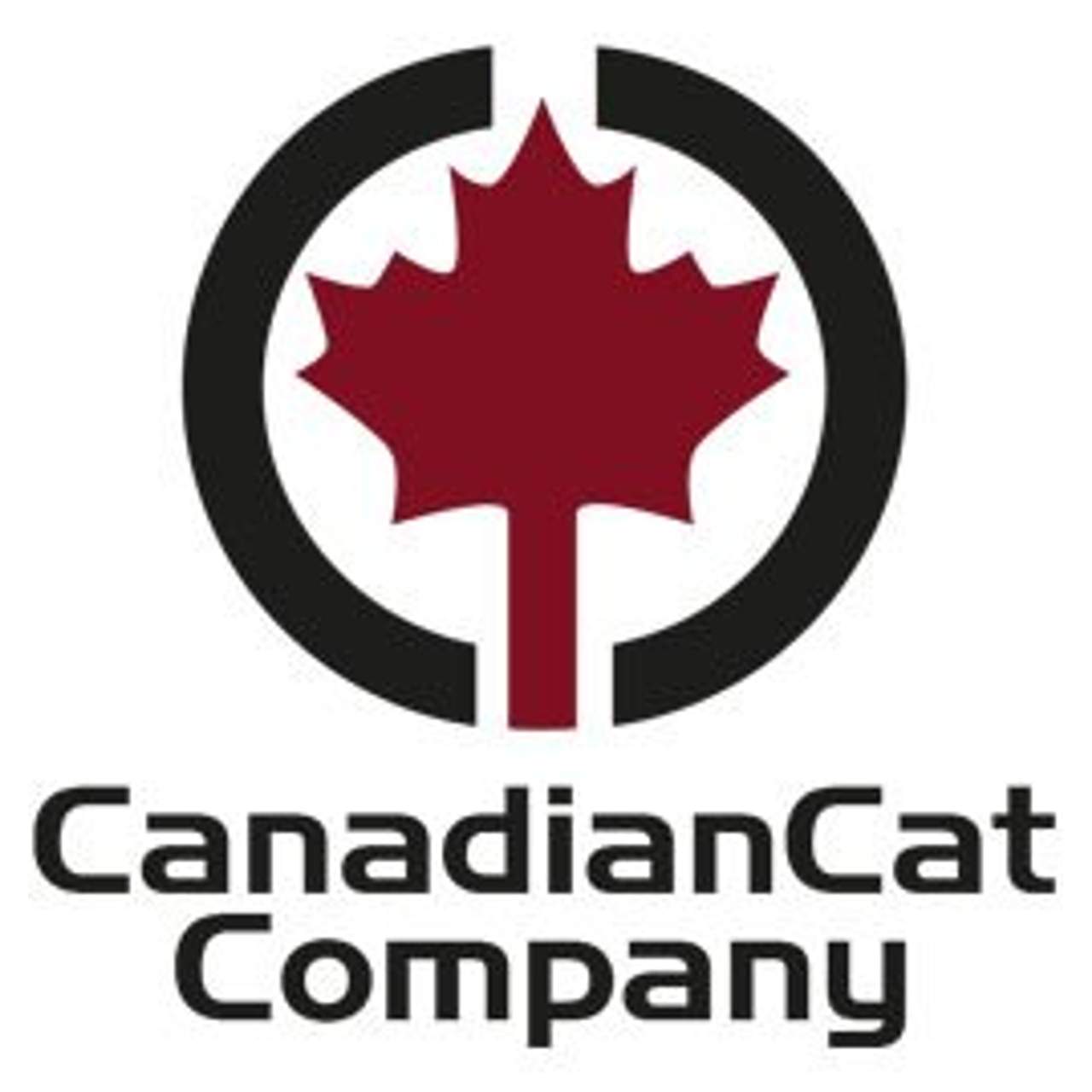 CanadianCat Company Jumbo Lounge
