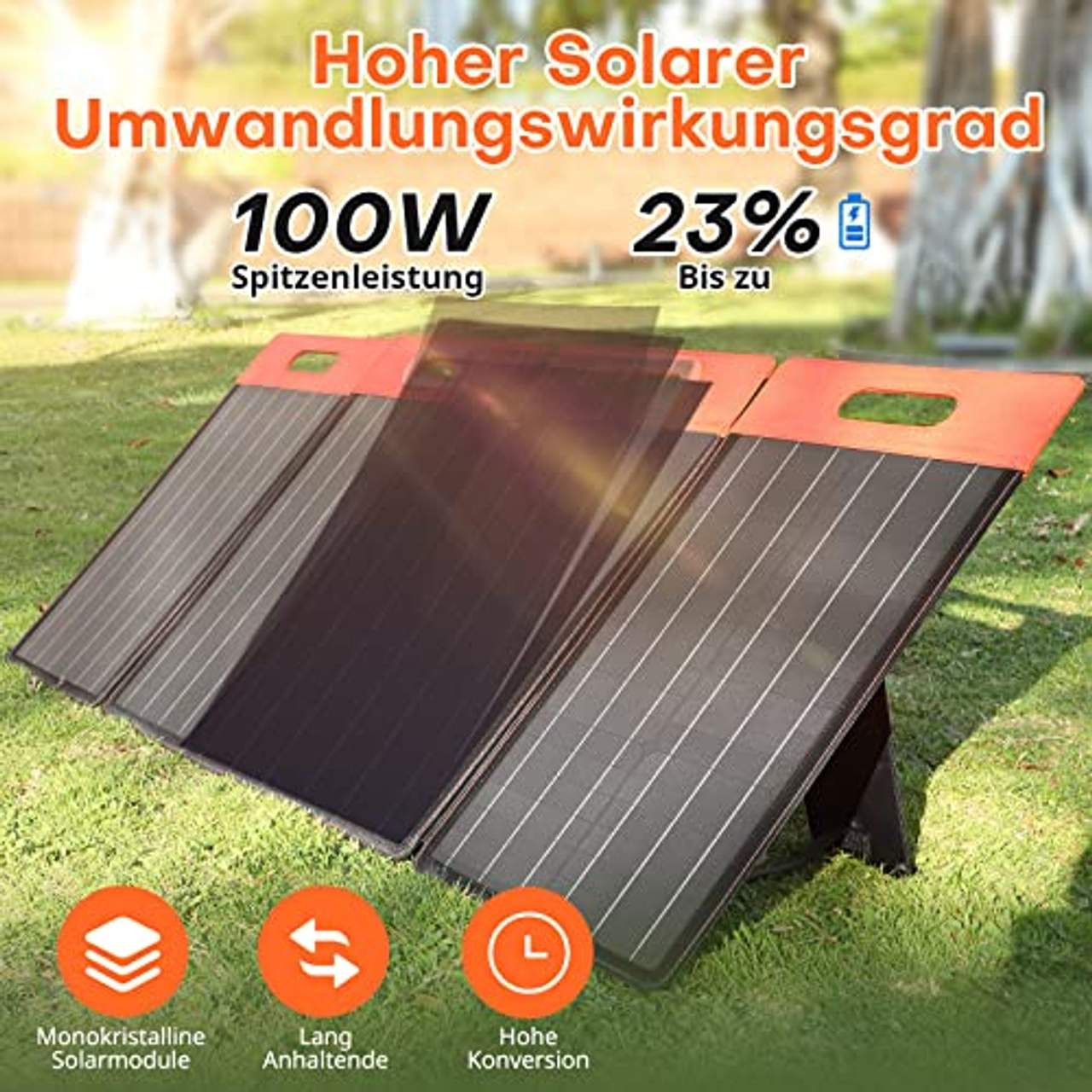 GOLABS Solarpanel Faltbar Tragbar 100W Solargenerator 