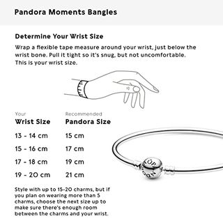 Pandora Moments Armreif Sterling Silber 590713-21