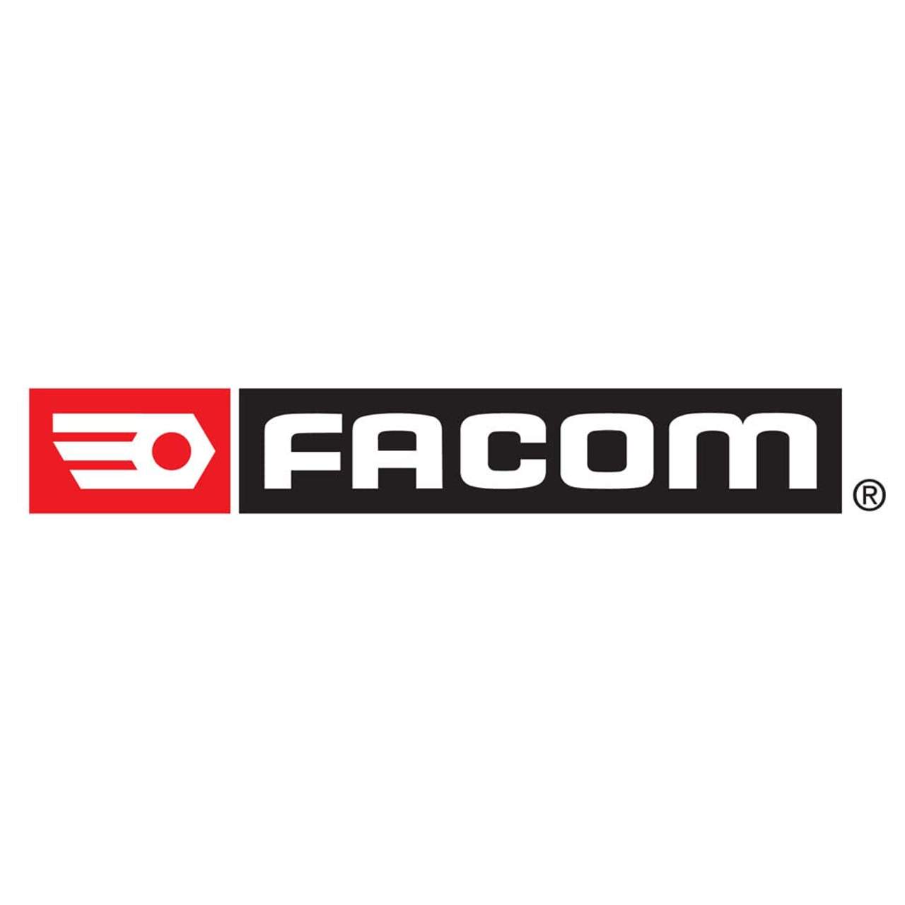 Facom Modul 10 mit Splinttreibern mit Handgriff