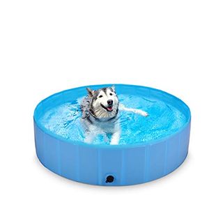 BlueFire Hundepool 120x30cm Hund Schwimmbecken Planschbecken Faltbar Hundeplanschbecken Swimmingpool