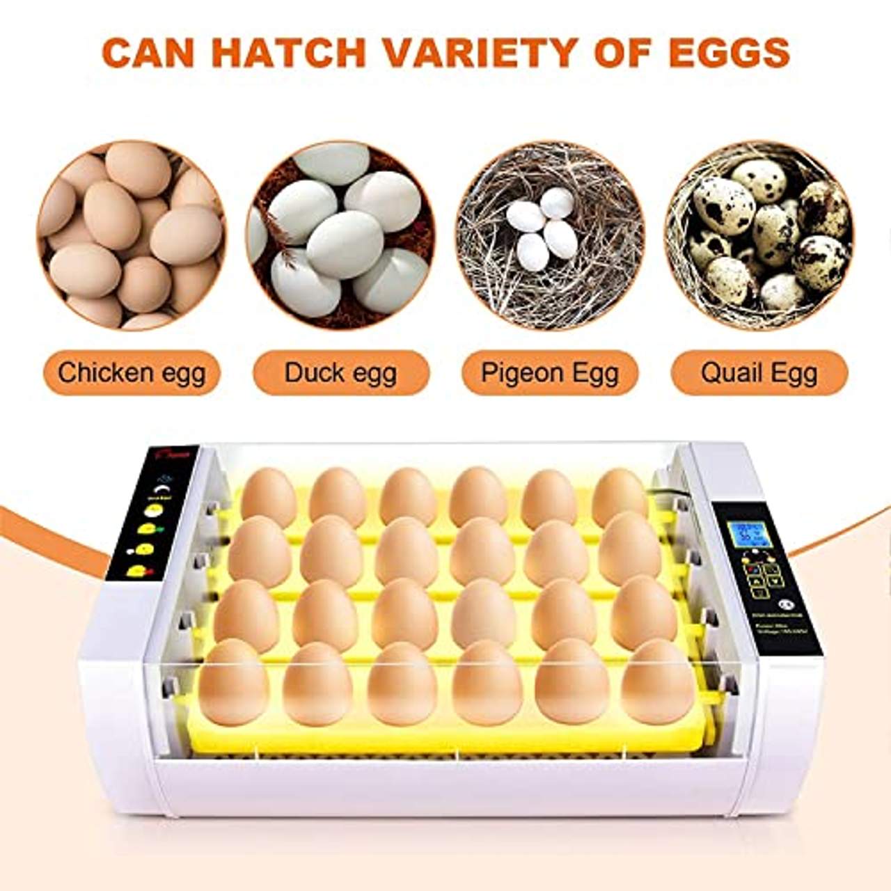 24 Eier Brutmaschine Vollautomatisch