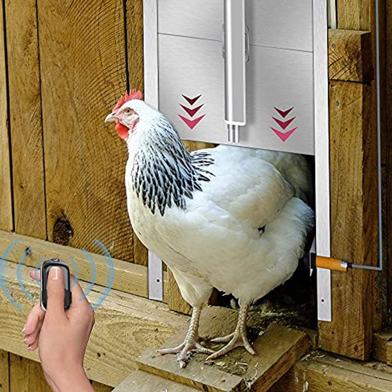 GJCrafts Hühnerstall Automatischer mit 2 Modi Timer