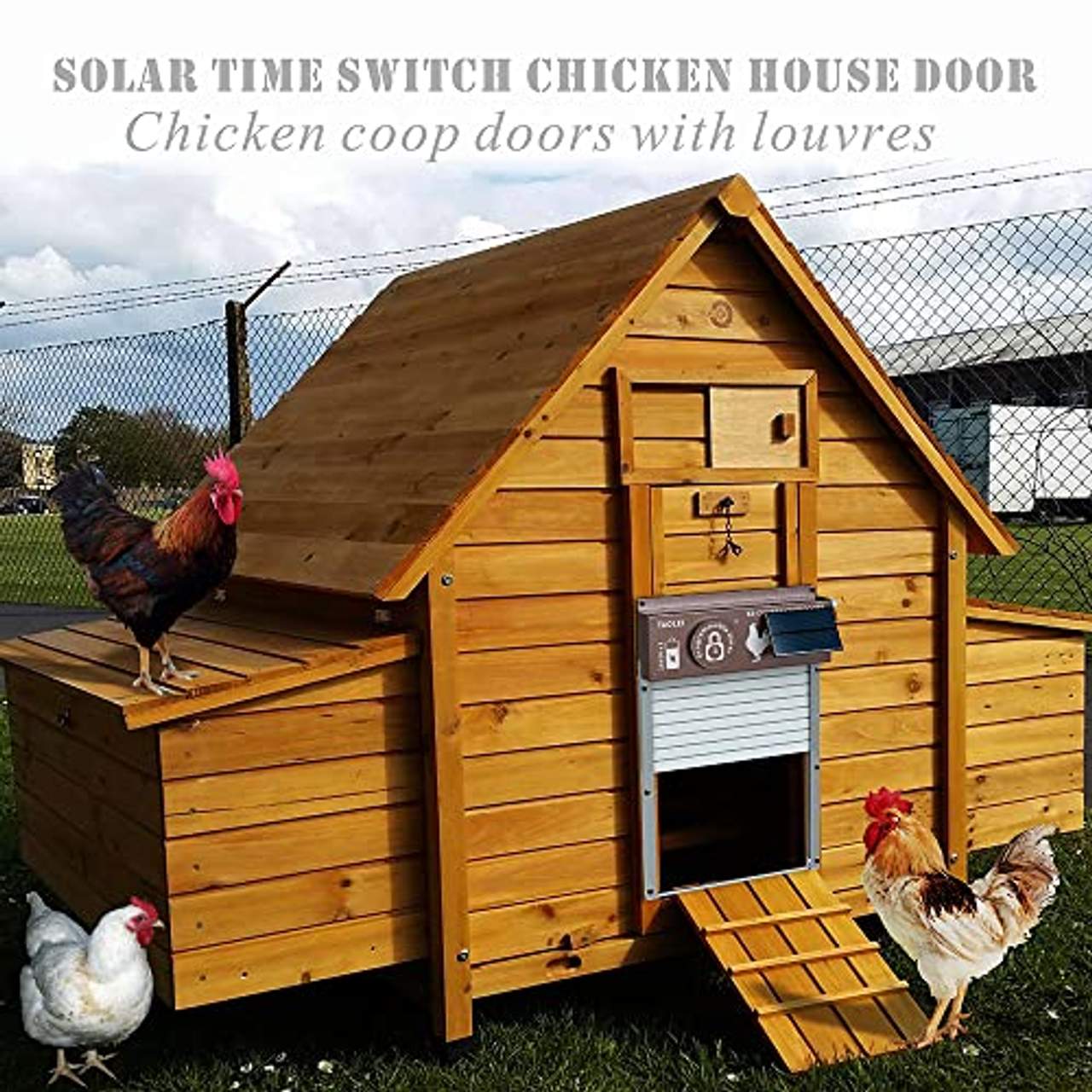 TAOLEI Hühnerstalltür mit Rollladen Rollladentor Solar programmierbare Zeitschaltuhr