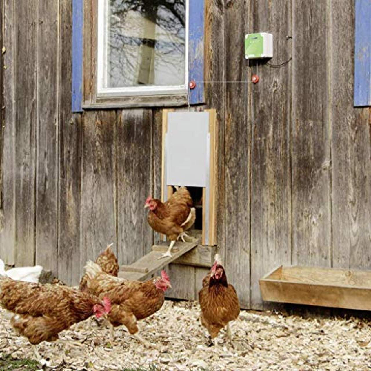 Kerbel Cajou Automatische Hühnertür inklusive Schieber mit Führungsschienen