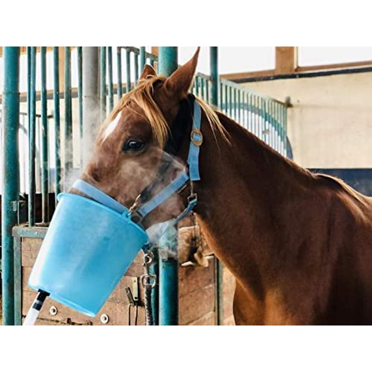 Generisch Inhalator für Pferde Equosonic Privat Starter Paket