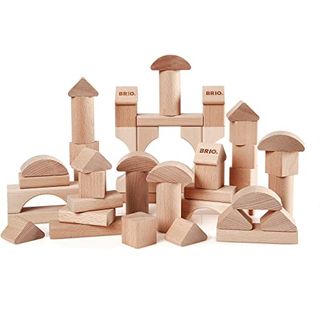 500 Holzbausteine Bauklötze Holzklötze Holzspielzeug aus Buchenholz 
