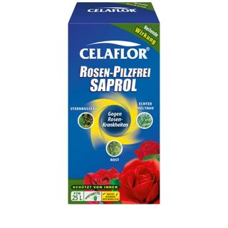 Celaflor Rosen-Pilzfrei Saprol gegen Pilzkrankheiten an Rosen