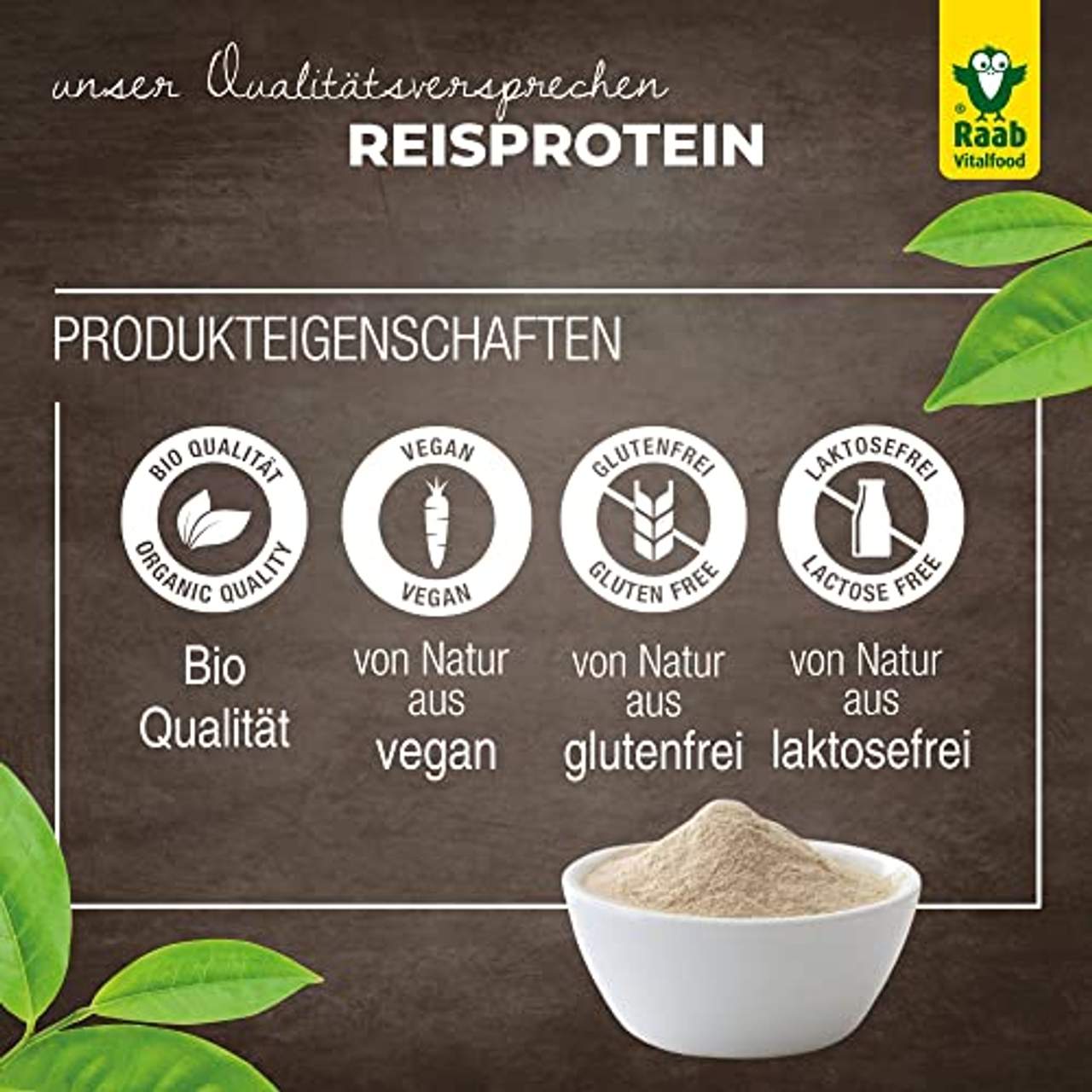 Raab Vitalfood Bio Reis-Protein Pulver