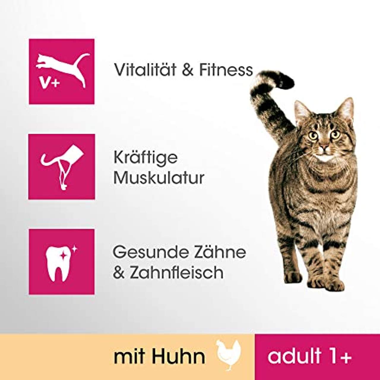 PERFECT FIT Katze Adult Huhn 7 KG NUR FH+Ecommerce 40 X 1 BTL