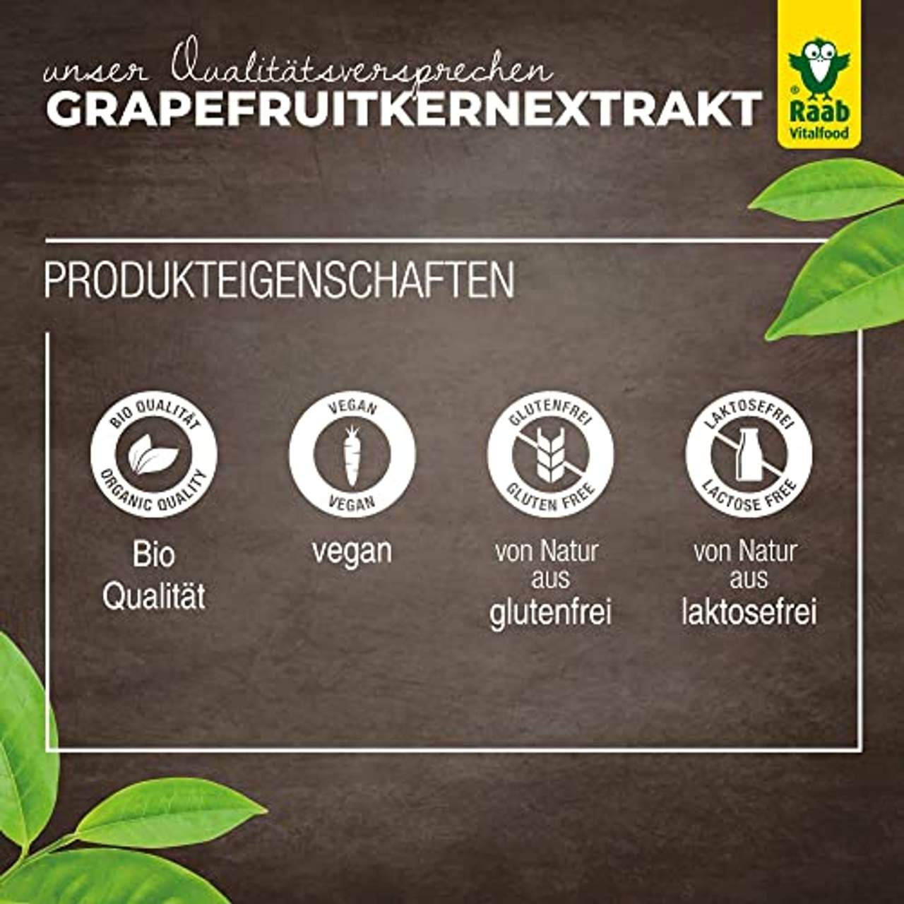 Raab Vitalfood Bio Grapefruit-Kernextrakt mit Bioflavonoiden