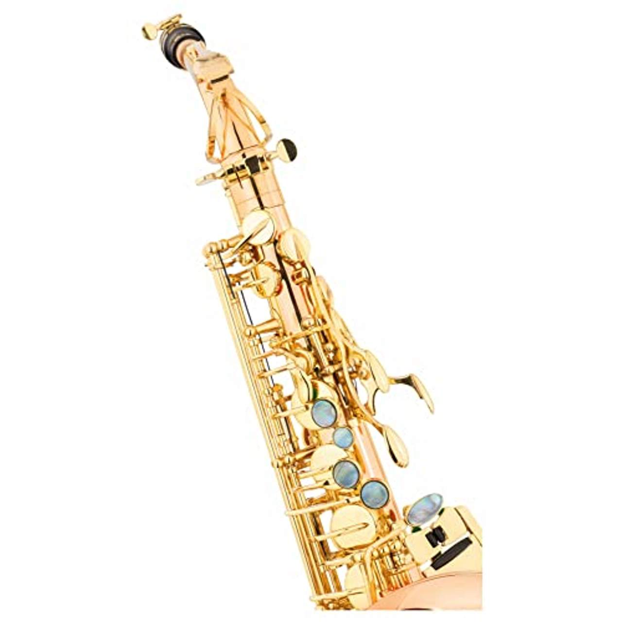 Lechgold LAS-20GL Alt-Saxophon aus lackiertem Goldmessing
