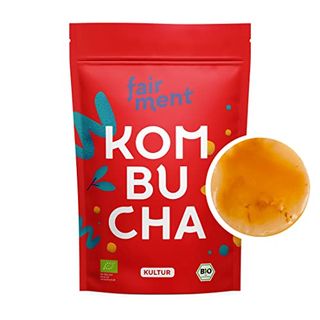 Original Kombucha Tee Pilz in Premium Größe 
